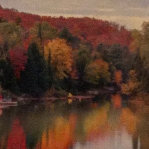 Meet your Posher, Sandy